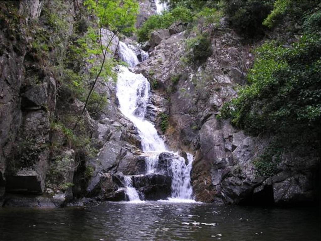 Borgo Della Longevita Bed & Breakfast Bivongi Bagian luar foto